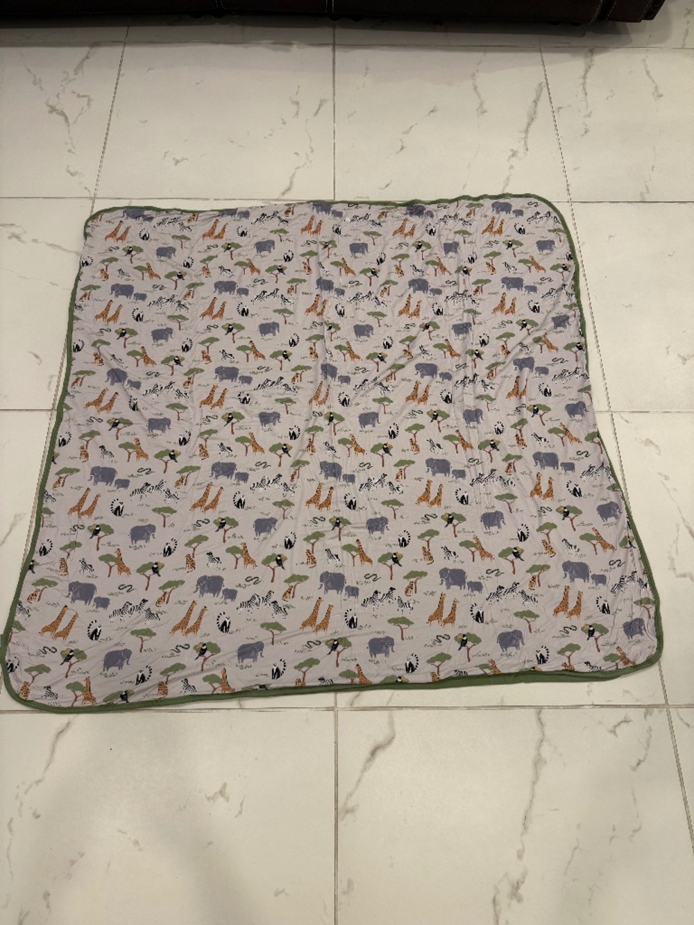 Little Sleepies Blanket